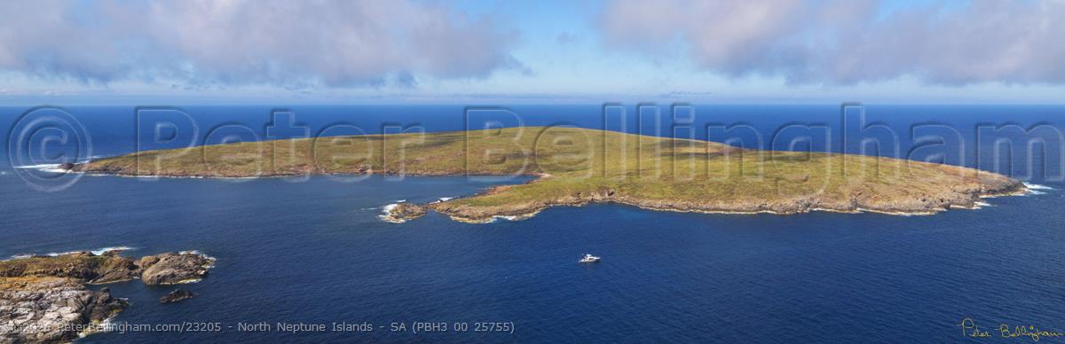 Peter Bellingham Photography North Neptune Islands - SA (PBH3 00 25755)